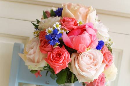 A Splash of Colour — Bloomsday Flowers