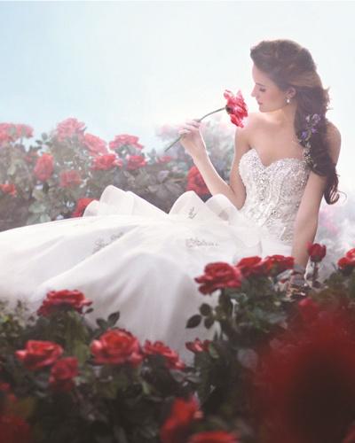Alfred Angelo – Belle 217 