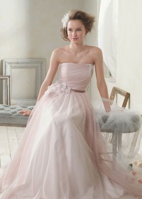 8527, Alfred Angelo