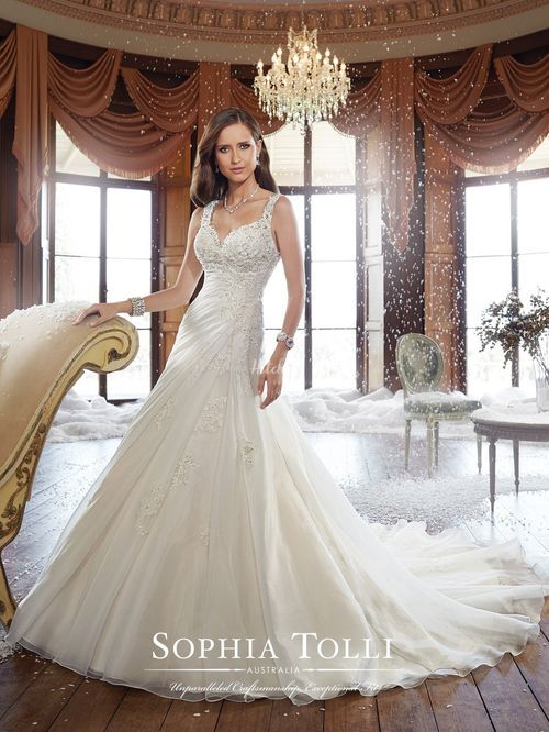 Y21513, Sophia Tolli