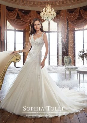 Y21513, Sophia Tolli