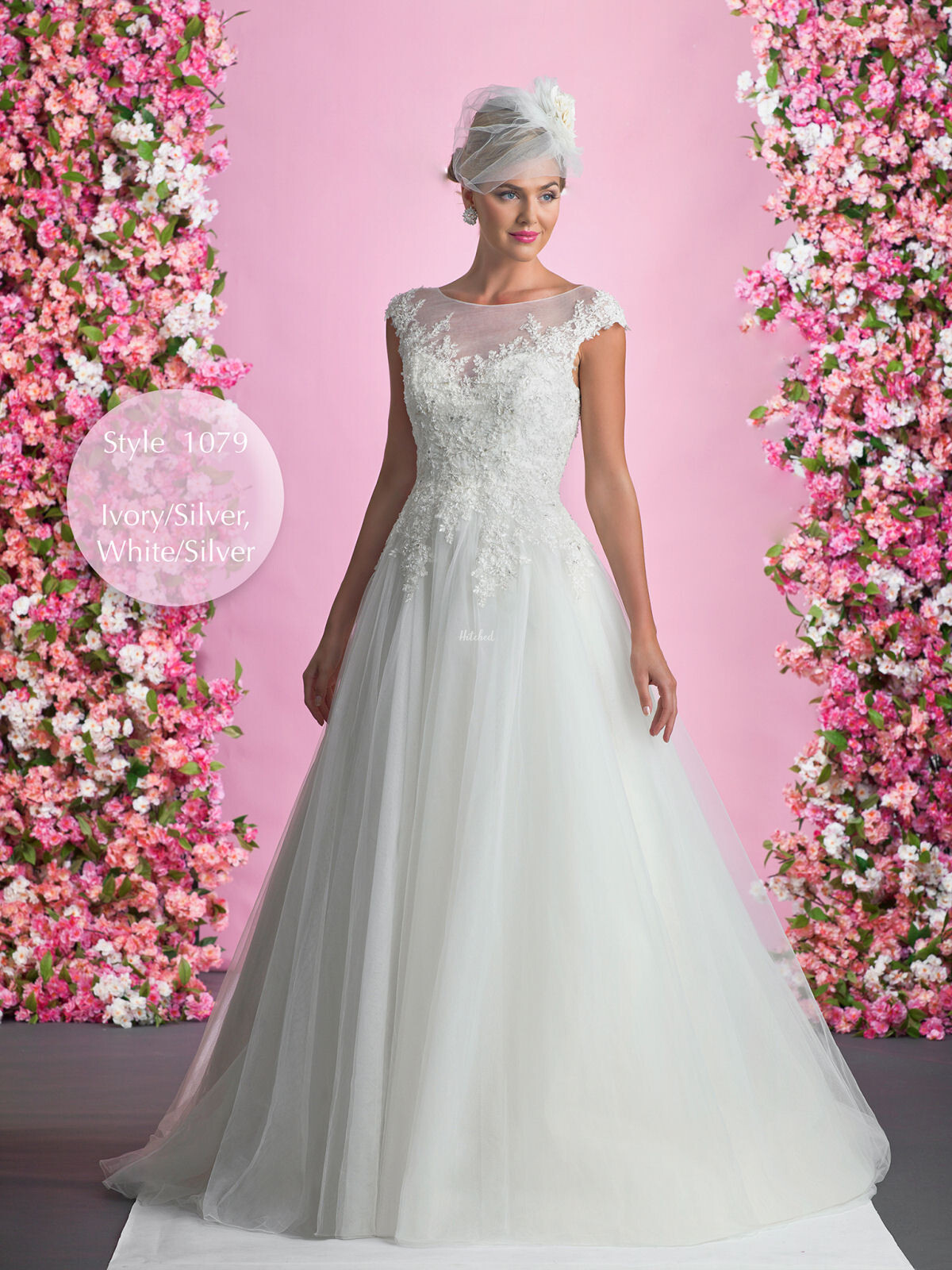 1079 Wedding Dress From Alexia Designs Hitchedie 2655