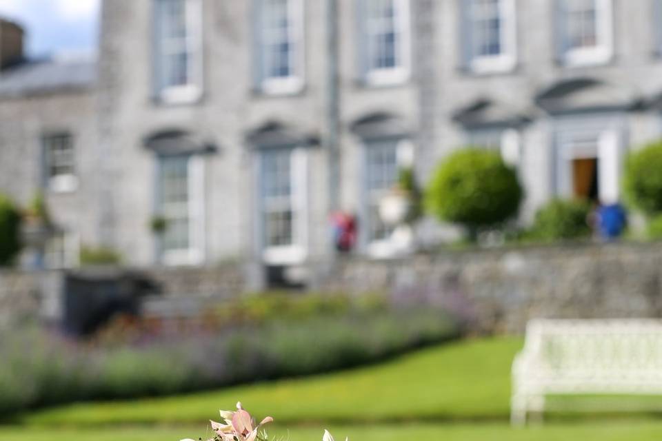 Castle Durrow Country House Hotel