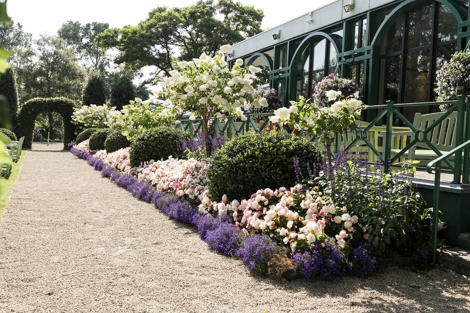 Wedding Walkway