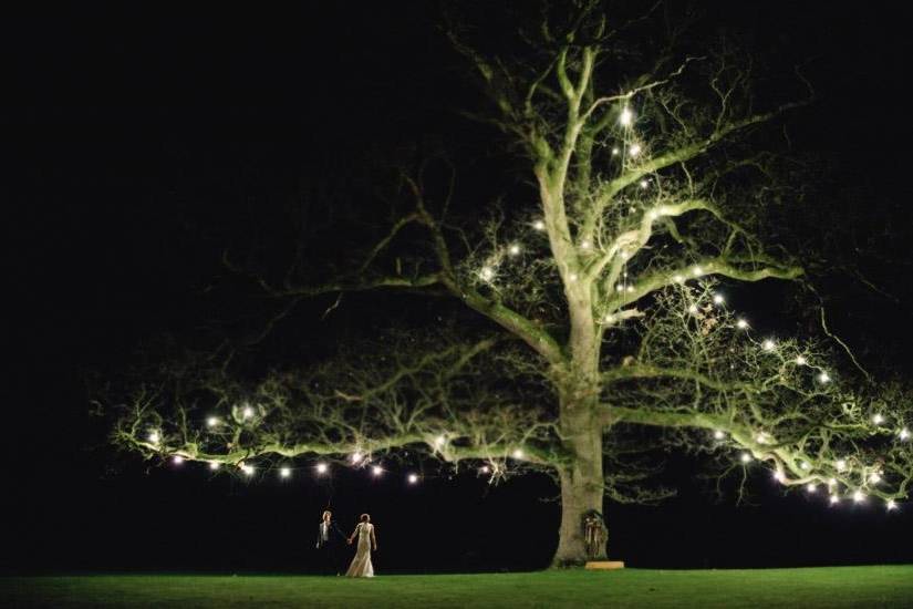 Winter Wedding - The Tree