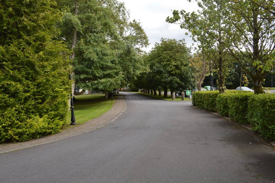 Hotel Entrance and Driveway