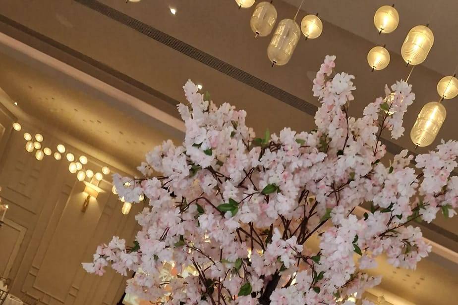 Cherry Blossom Tree