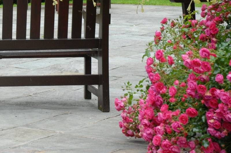 Wedding couple on the Grounds of Hotel Westport