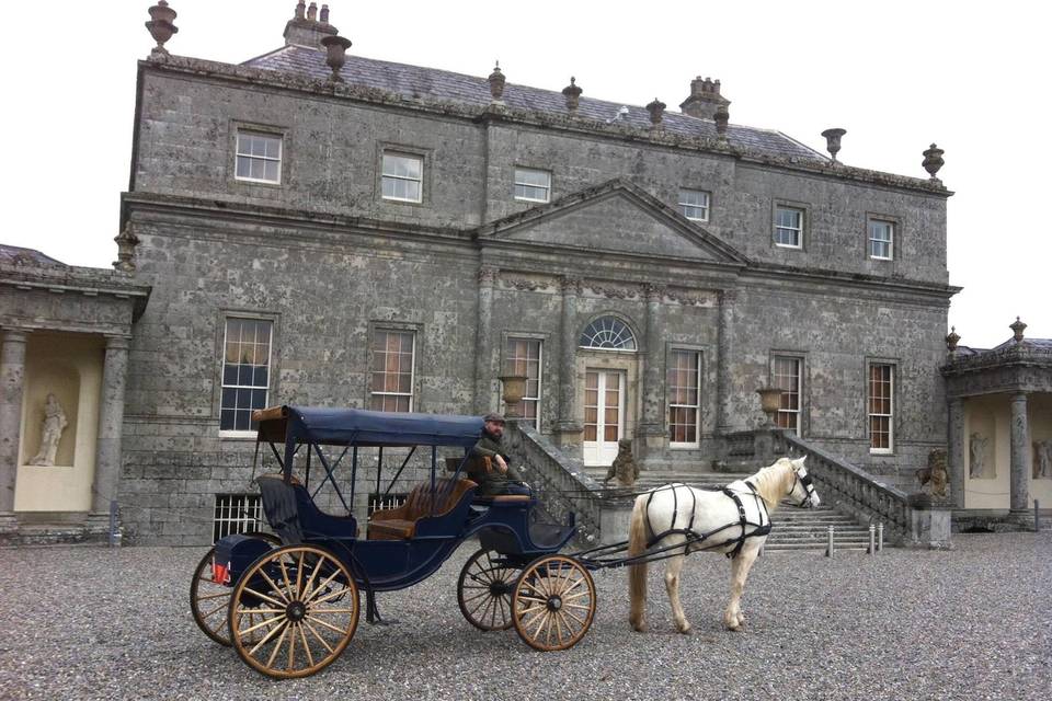 Horse and carriage at Russborough