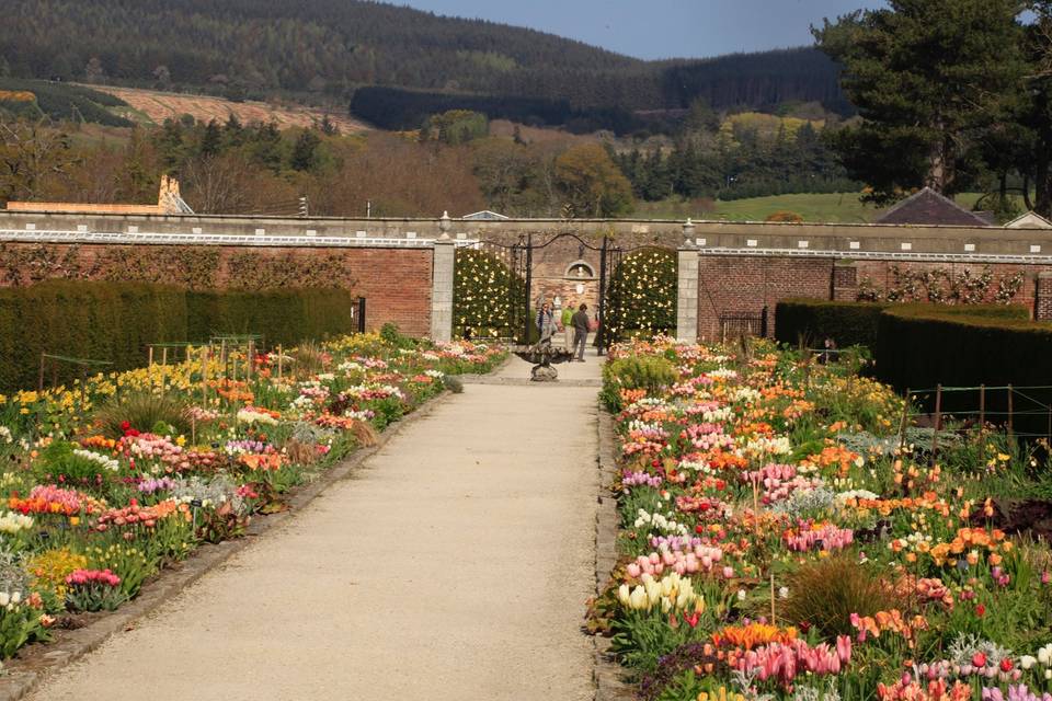 Powerscourt House & Gardens