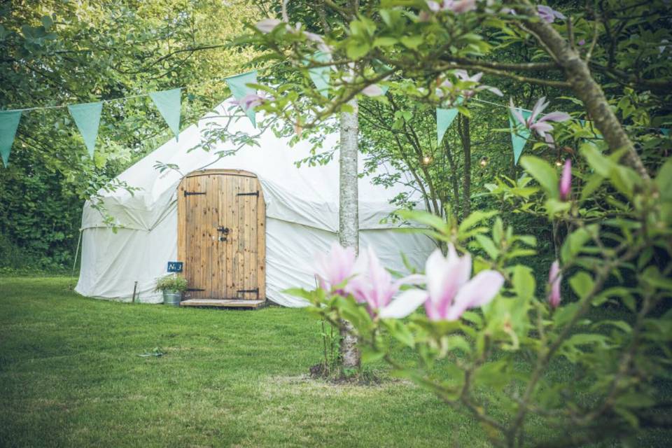 Yurt among nature