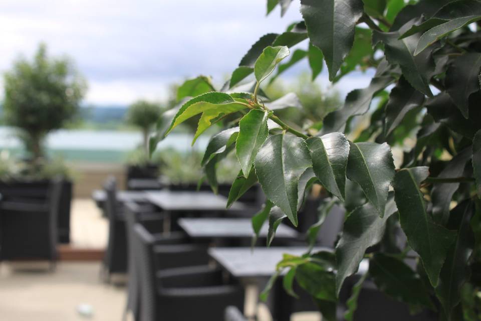 Rooftop garden