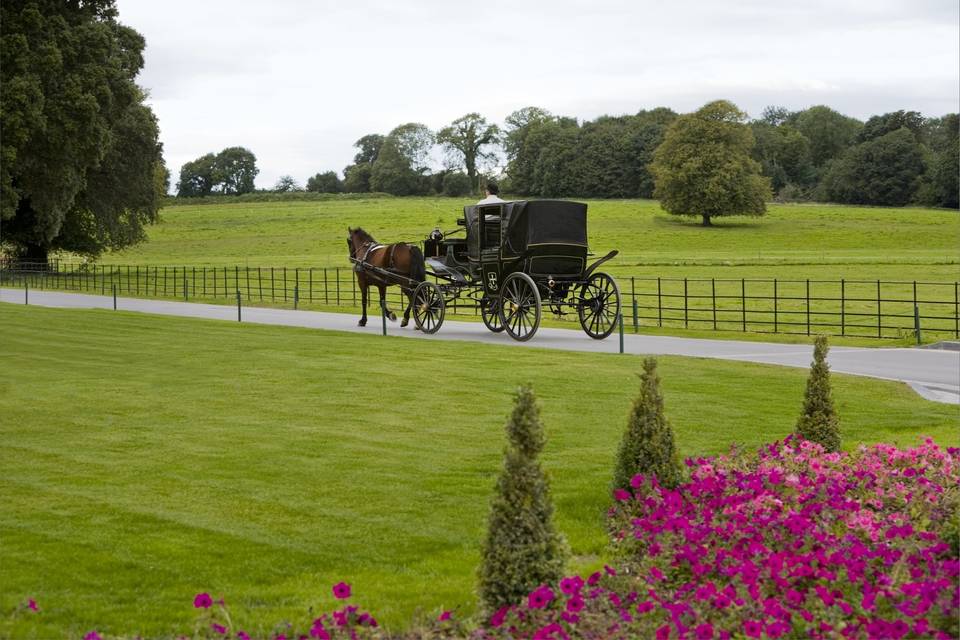 Castlemartyr Resort