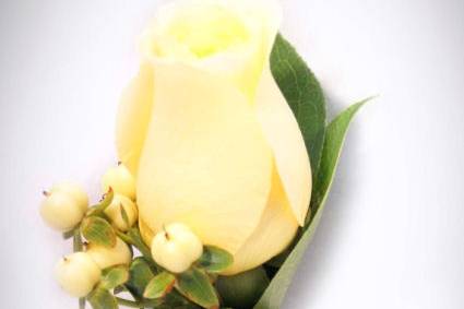Ivory Rose Buttonhole