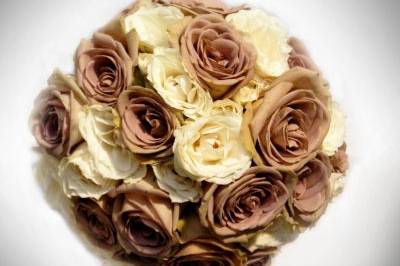 Soft Ivory & Brown Roses