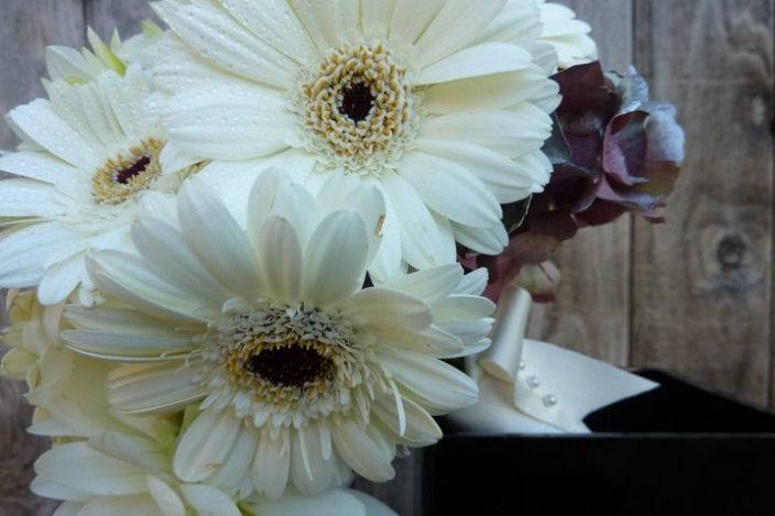 White Bouquet