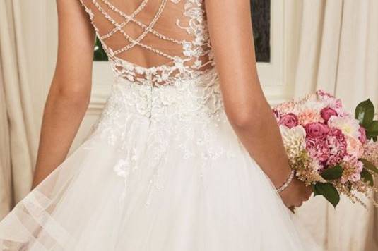 The detailed back