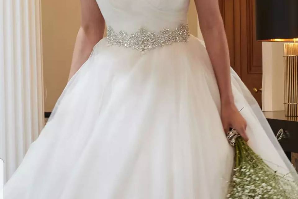 Princess gown