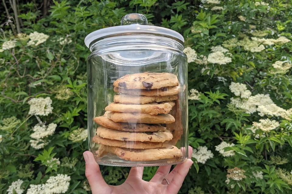 Homemade chocolate chip cookies