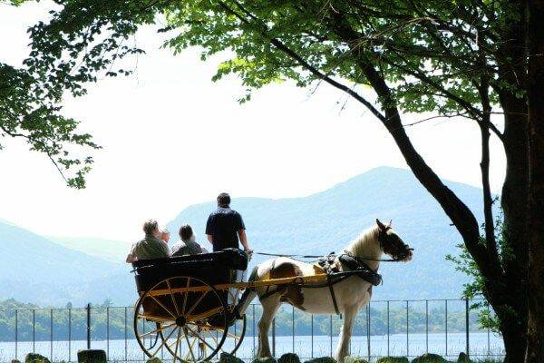 Carriage ride on the lake