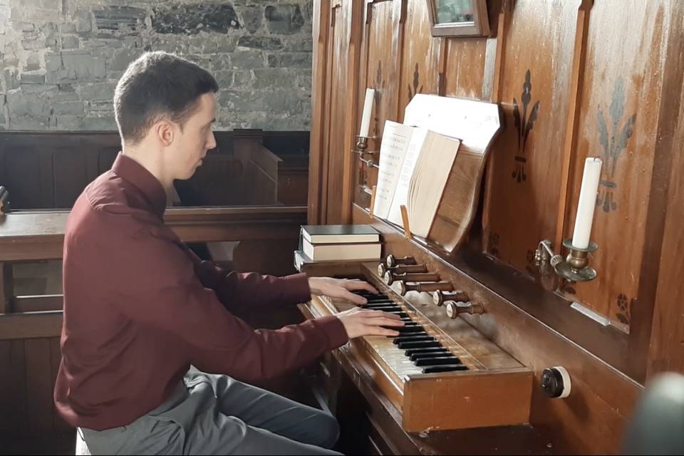 Organist in Maynooth