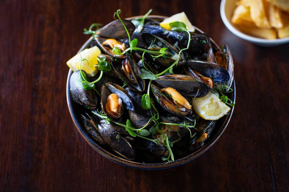 Mussels