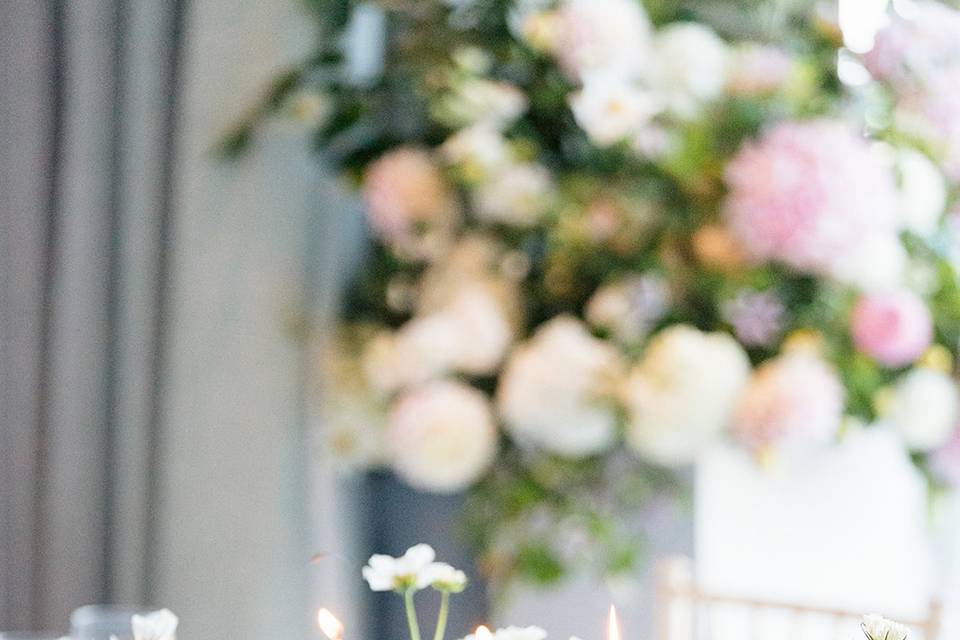 Image by Sarah Kate Murphy